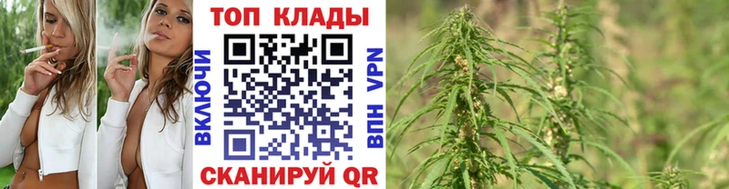 Где можно купить наркотики Чегем Галлюциногенные грибы  KRAKEN как зайти  МЕФ  Марихуана  Кокаин 