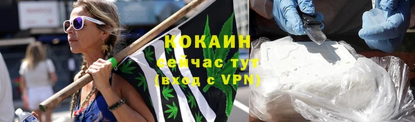 кокс Гусев