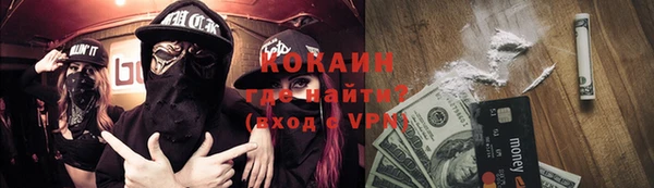 прущие грибы Дмитров