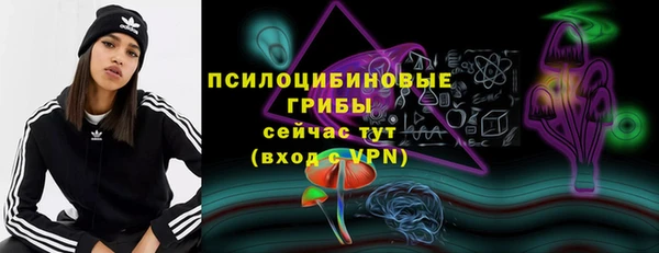 прущие грибы Дмитров