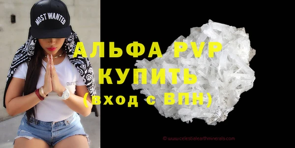 прущие грибы Дмитров