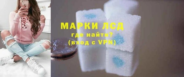 прущие грибы Дмитров