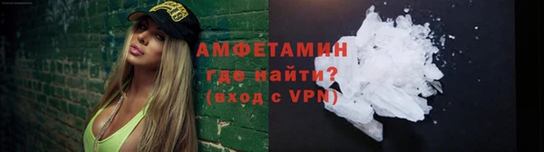 прущие грибы Дмитров