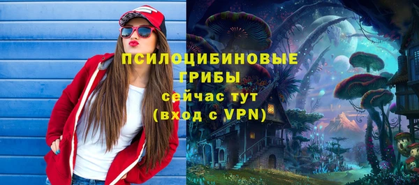 трава Дмитриев