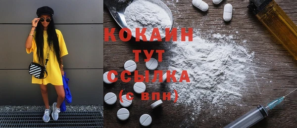 прущие грибы Дмитров