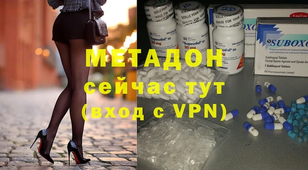 прущие грибы Дмитров