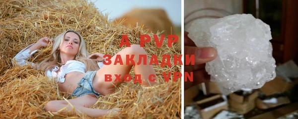 прущие грибы Дмитров