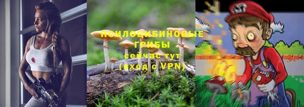 таблы Гусиноозёрск