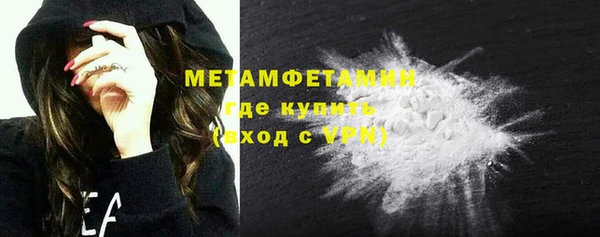 прущие грибы Дмитров